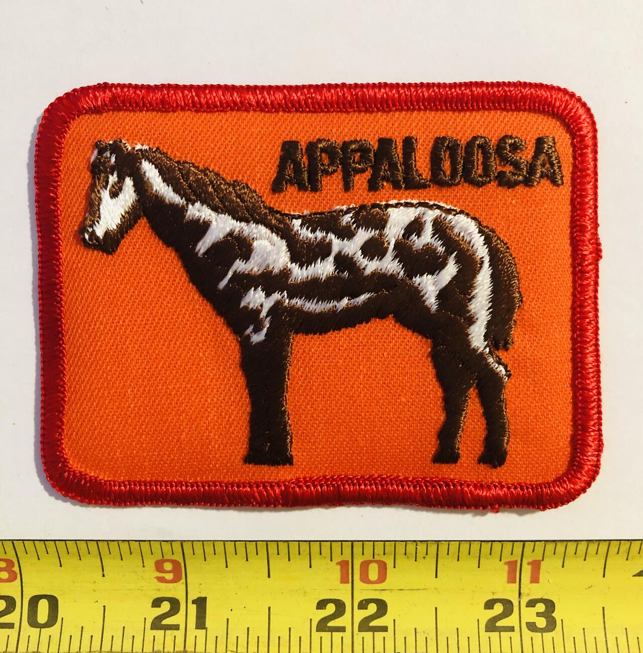 Appaloosa Horse Vintage Patch – The VintagePatch